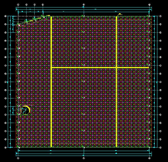 桐乡东营金岭化工大王煤棚网架